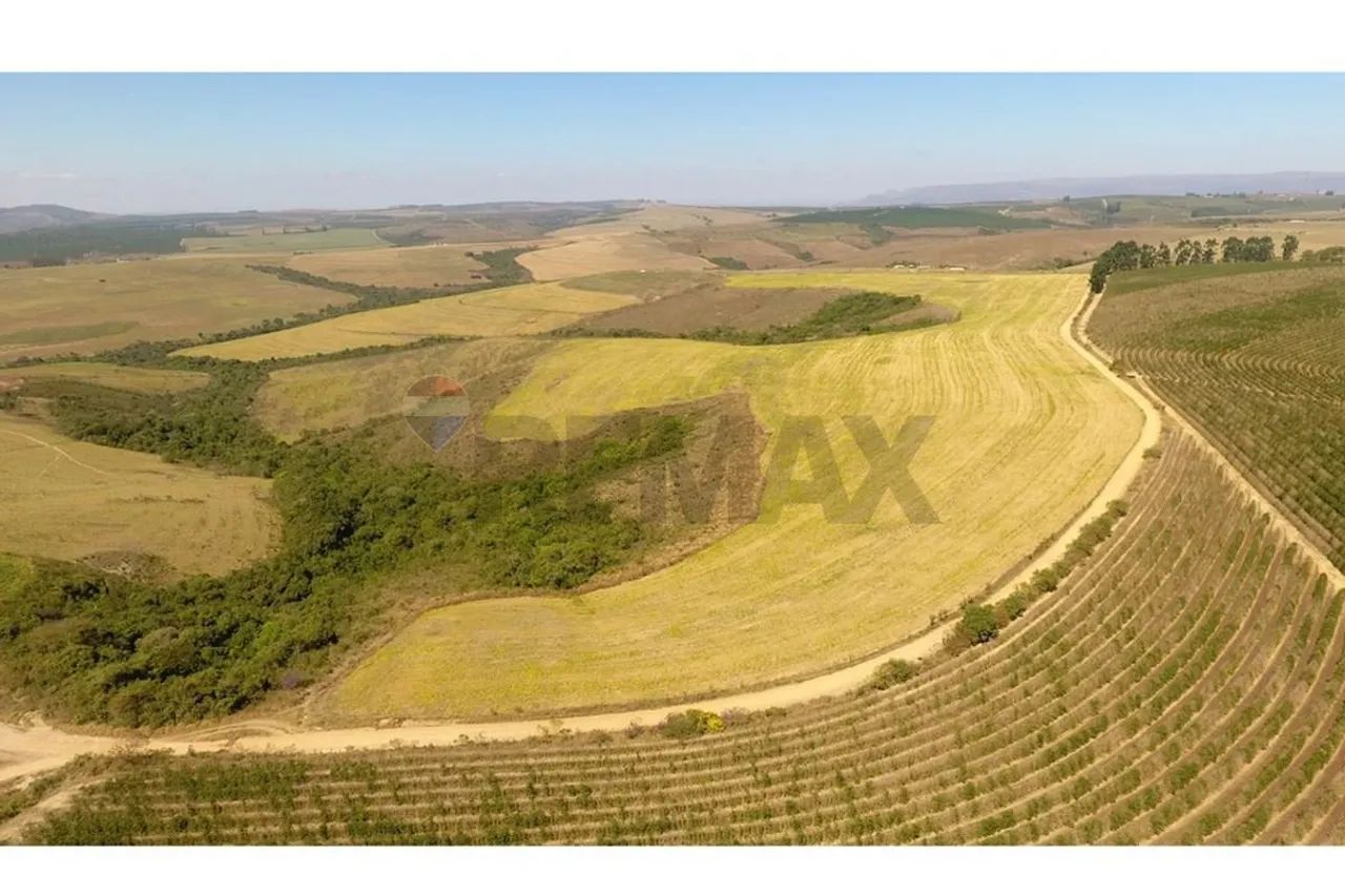 FAZENDA NA SERRA DA CANASTRA