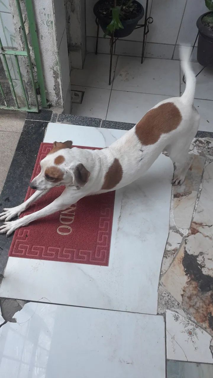Doação 