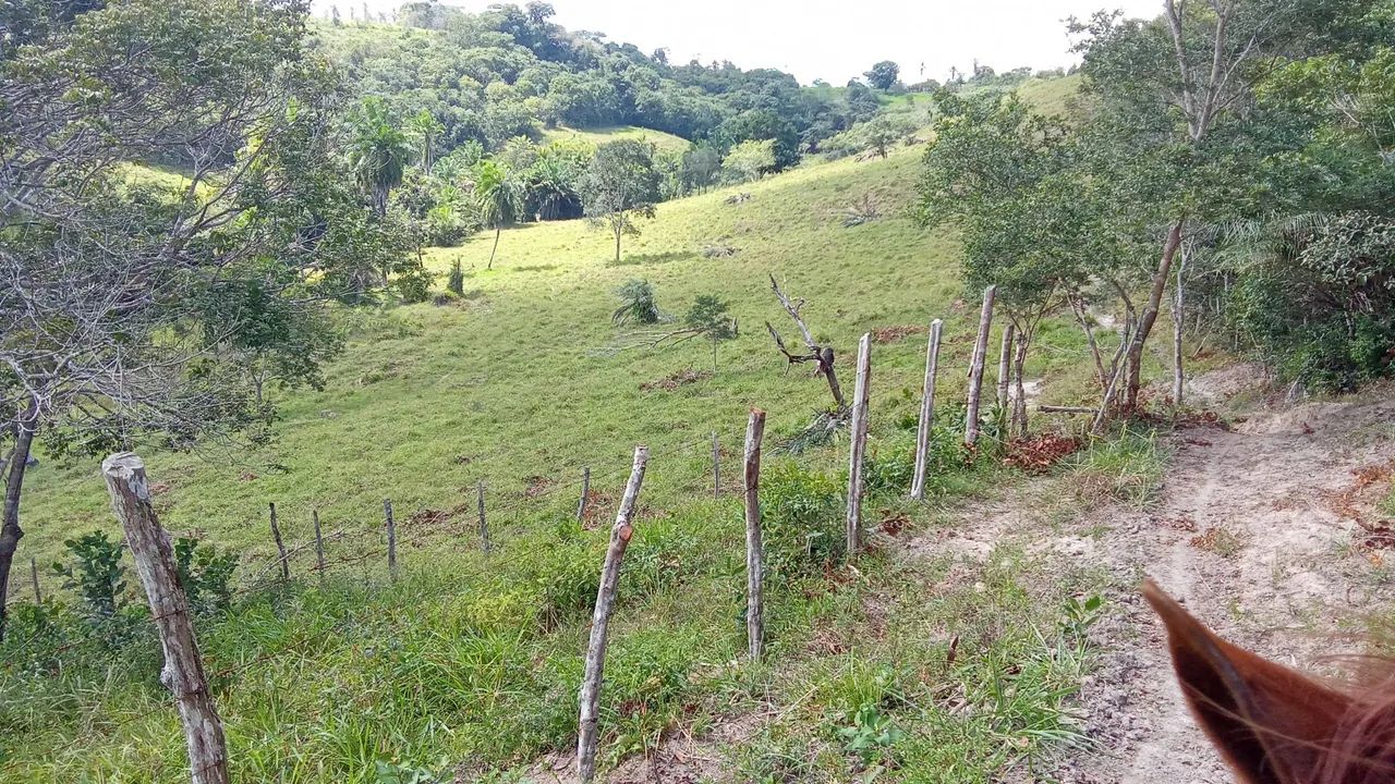Vende-se terreno  - Foto 4
