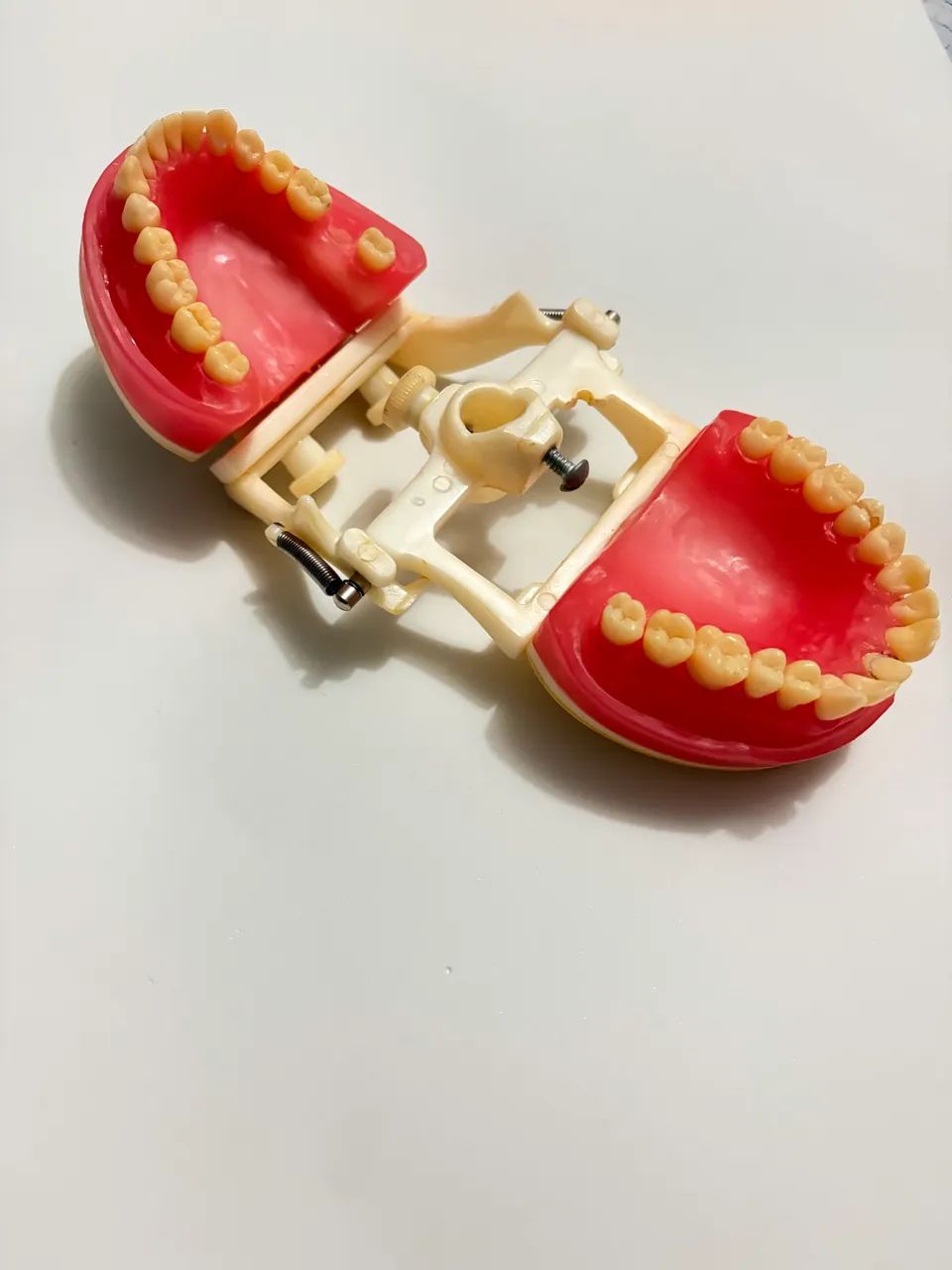 Manequim Odontológico  - Foto 3