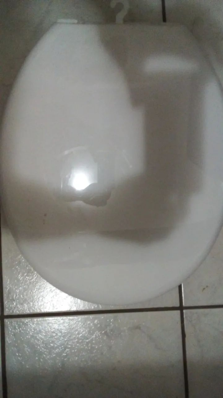 toilet bowl65163256867075122