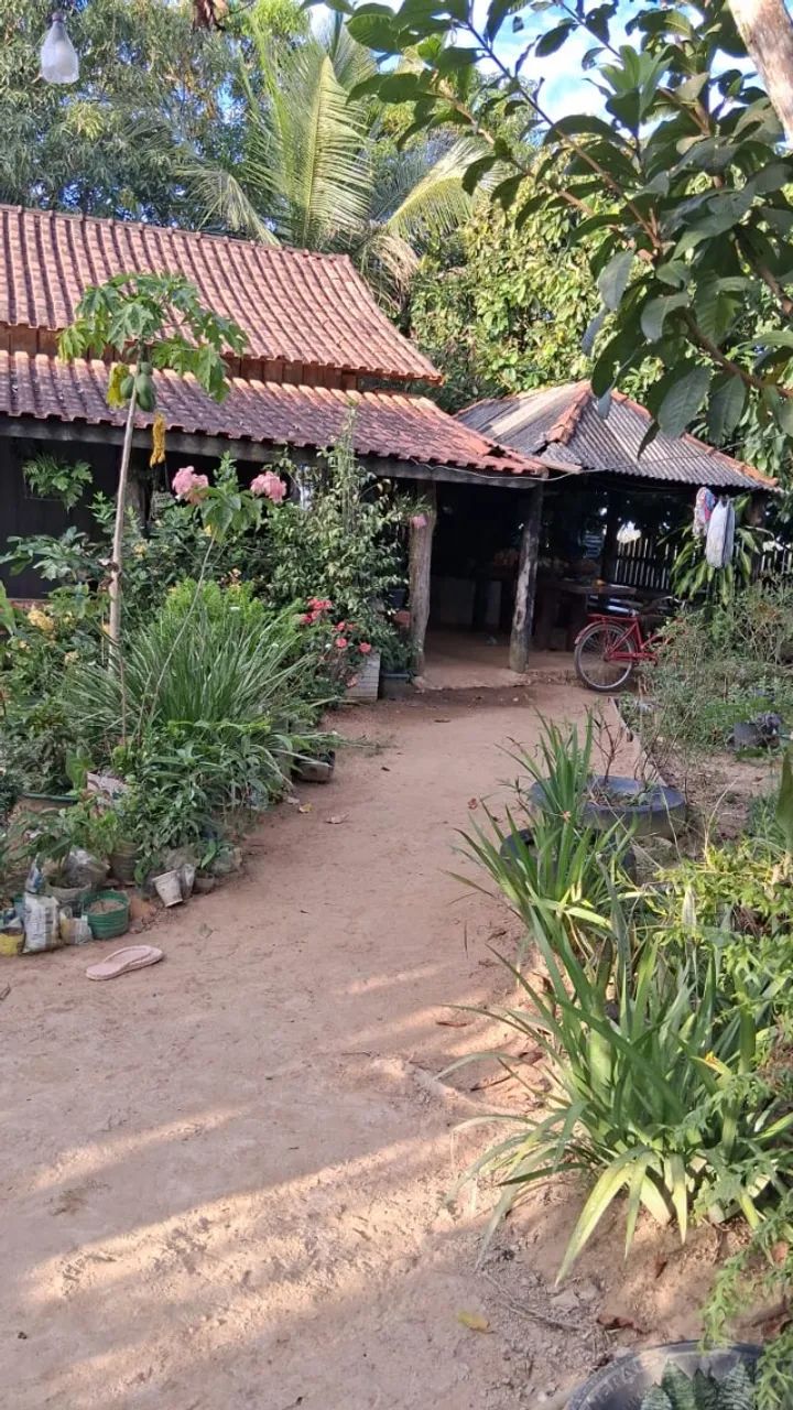 Vende se um Sitio - Foto 4