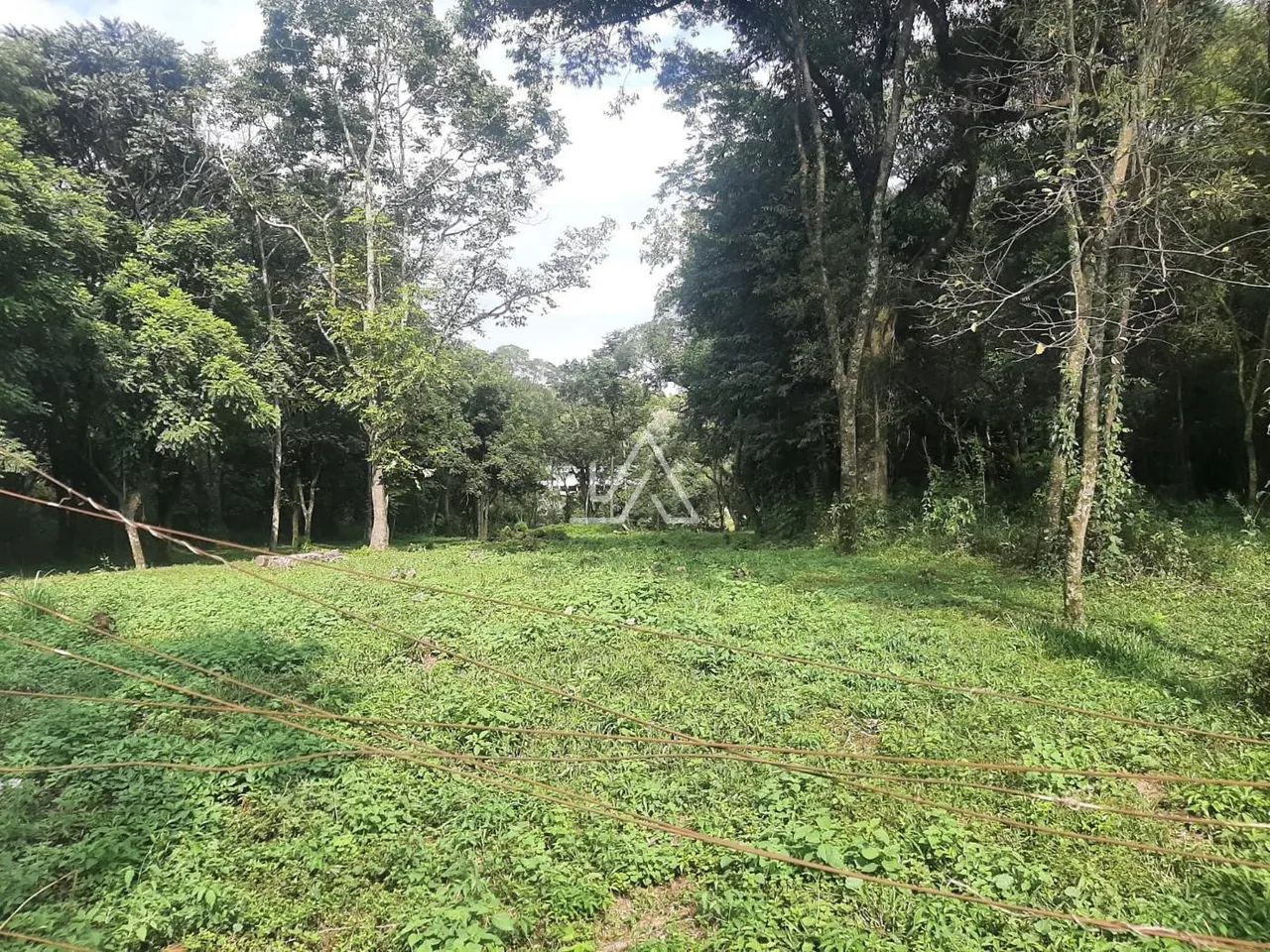 TERRENO NO BOQUEIRÃO - Foto 3