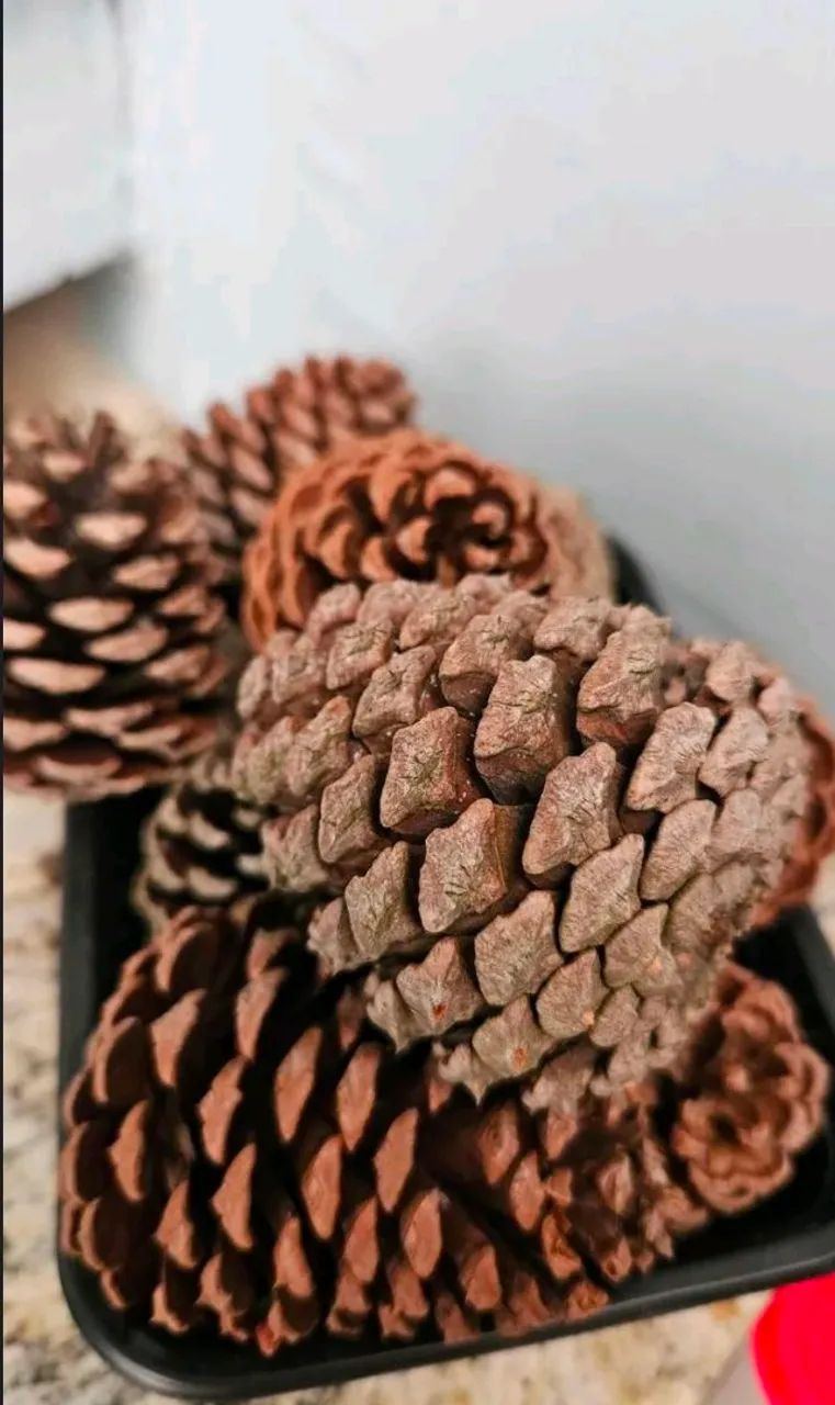 Pinha Natural  - Foto 3