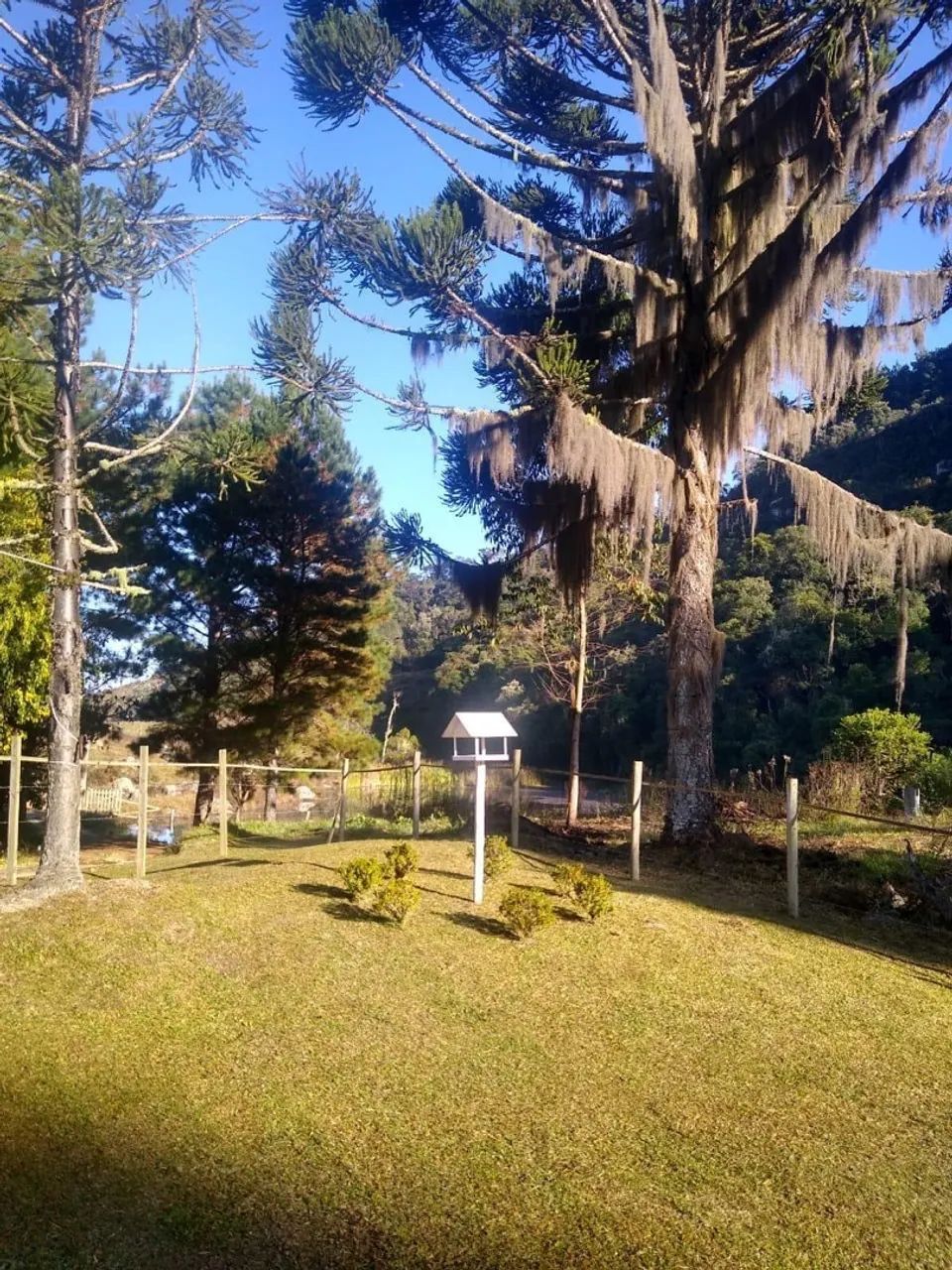 Pequeno sítio em Alfredo Wagner  - Foto 4