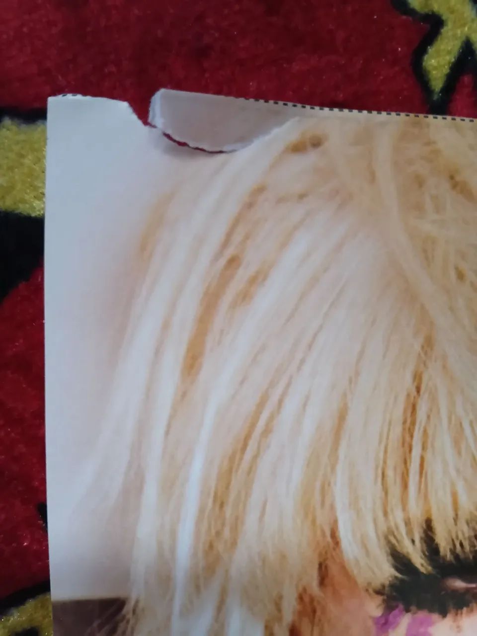 Pôster duplo Lady Gaga e Miley Cyrus  - Foto 3