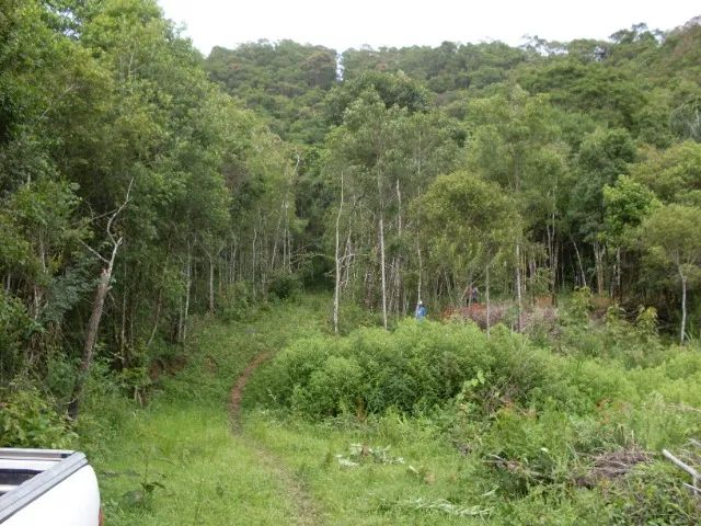 Foto - Salesópolis - 