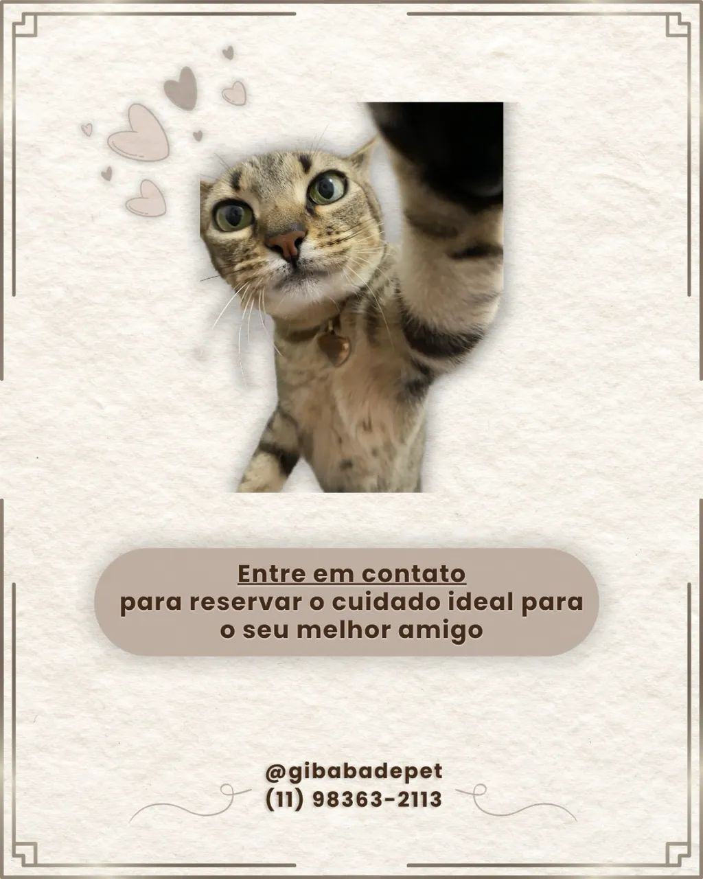 Cuidadores de Pet/Catsitter/Petsitter - Foto 4