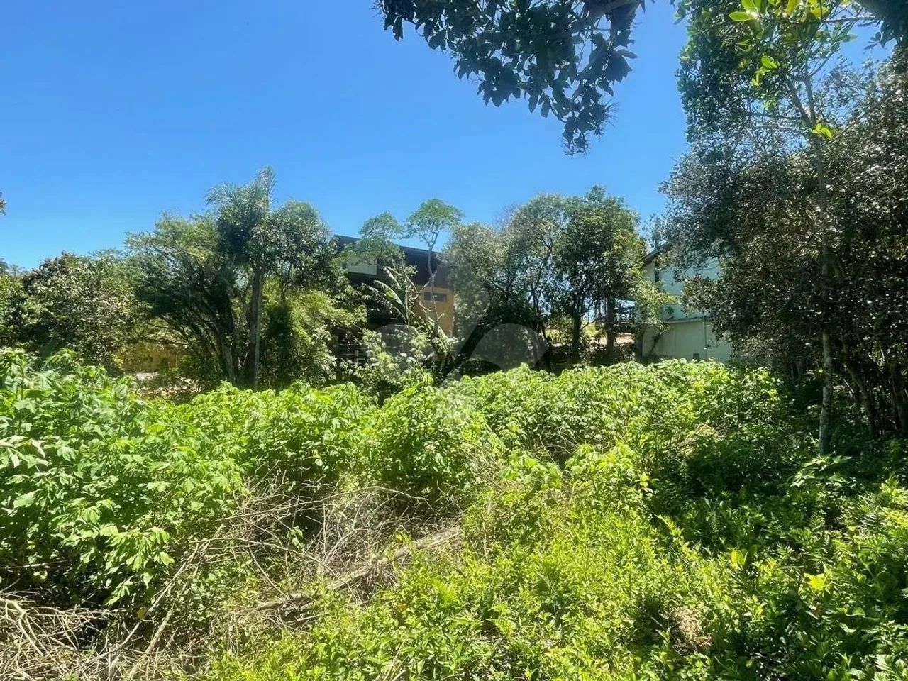 Terreno amplo na Praia do Rosa / Imbituba /SC - Foto 2