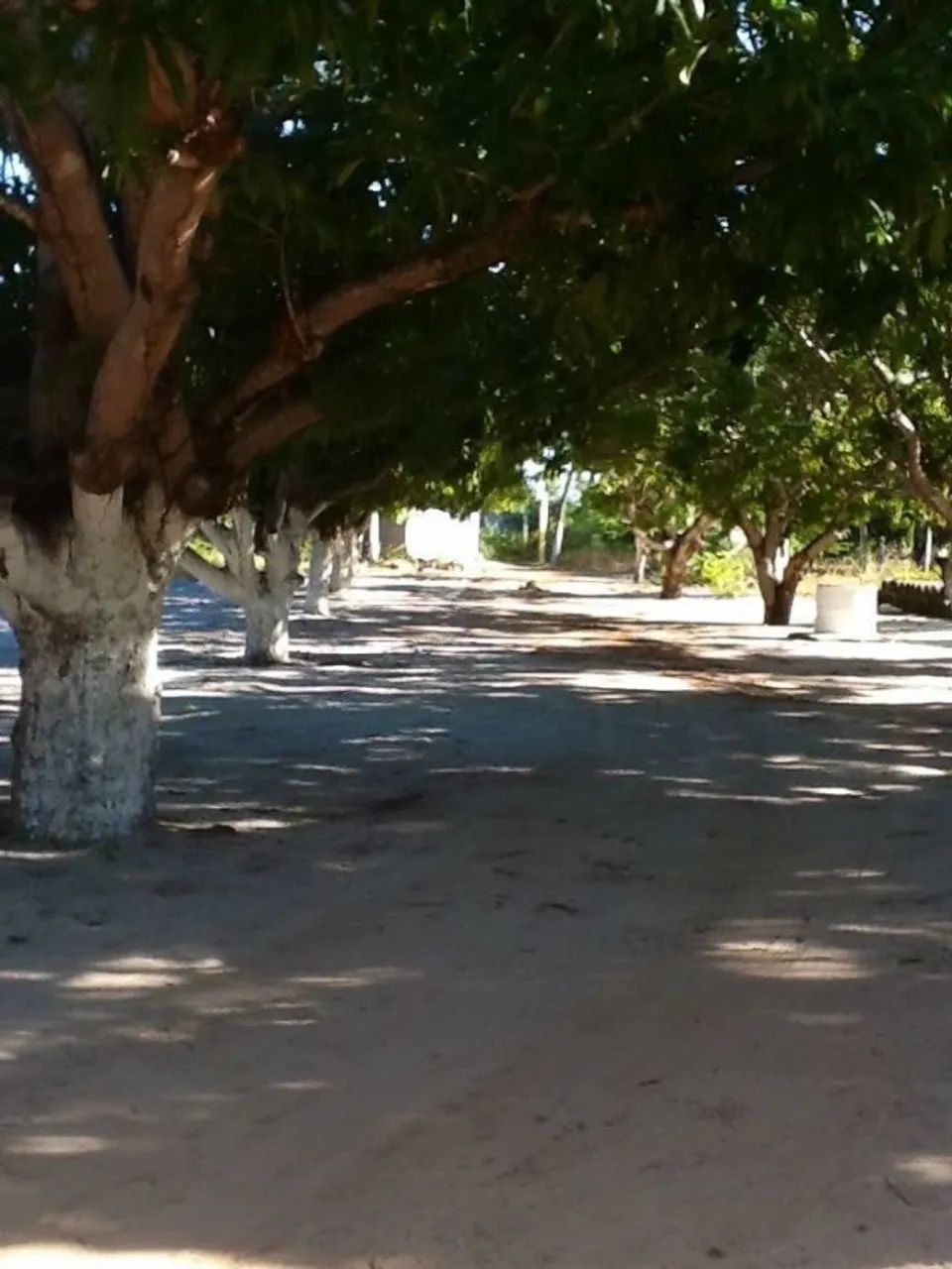 Casa com piscina para Carnaval - Foto 7