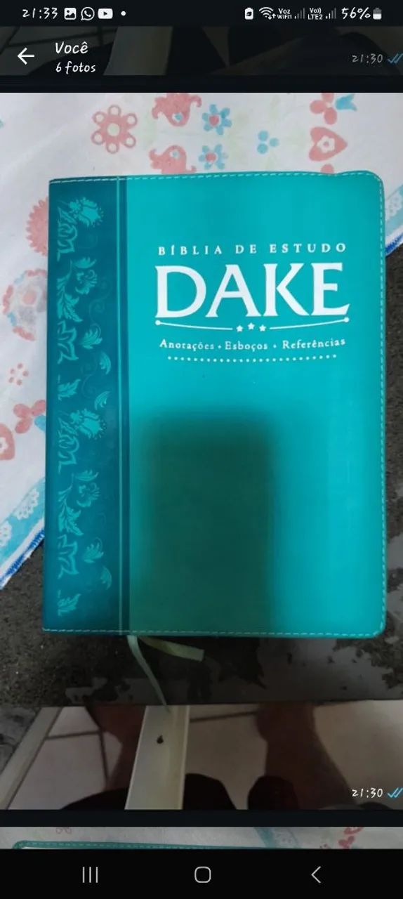 Biblia de estudo Dake