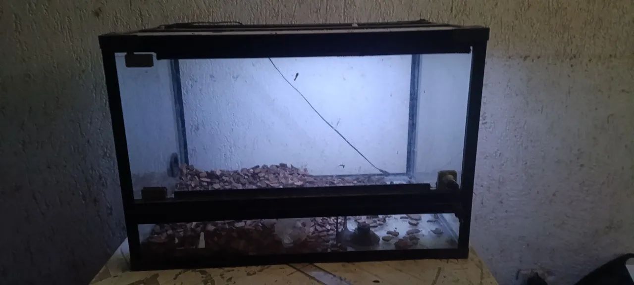 Terrário com led embutido  - Foto 2