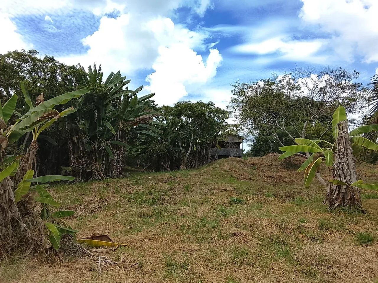 Chácara em Tarauacá - Foto 5