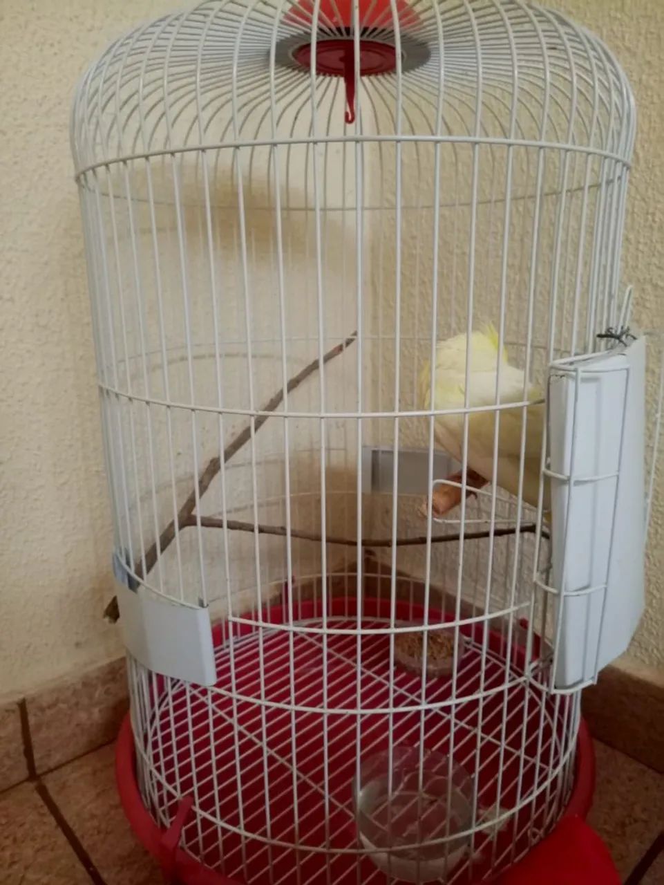 Gaiola