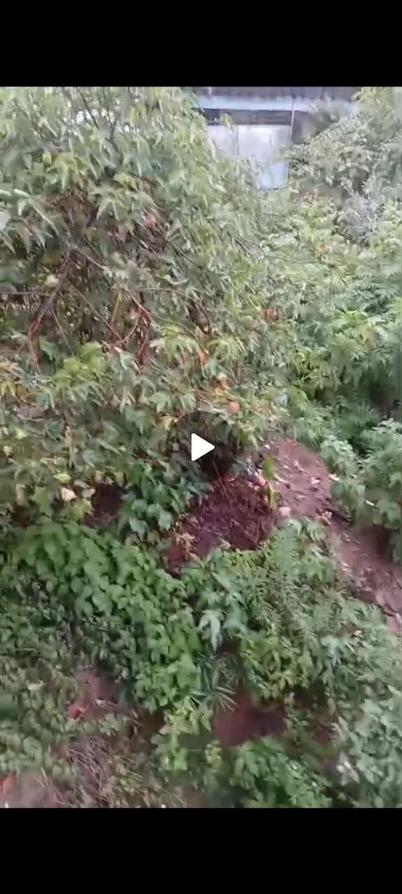 Foto - Ferraz de Vasconcelos - Vila Romanópolis