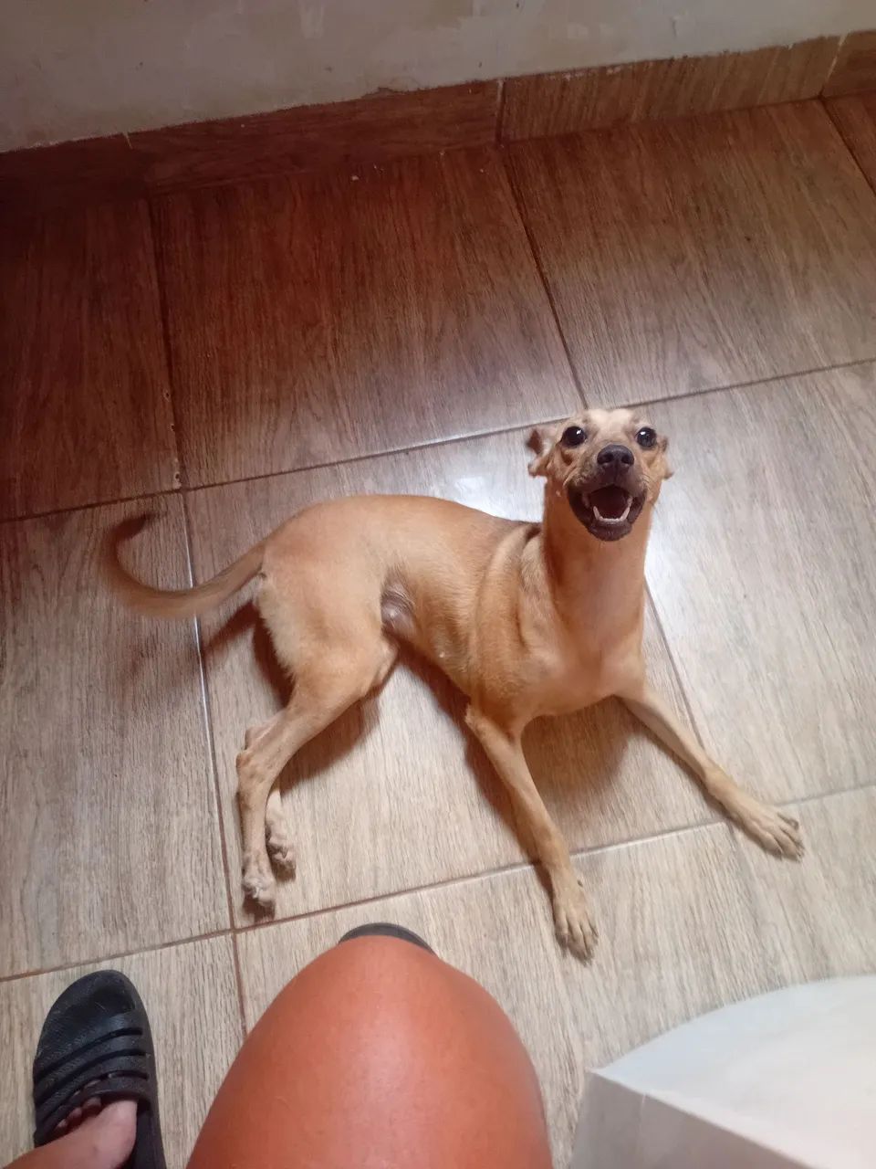 Doa se  - Foto 4
