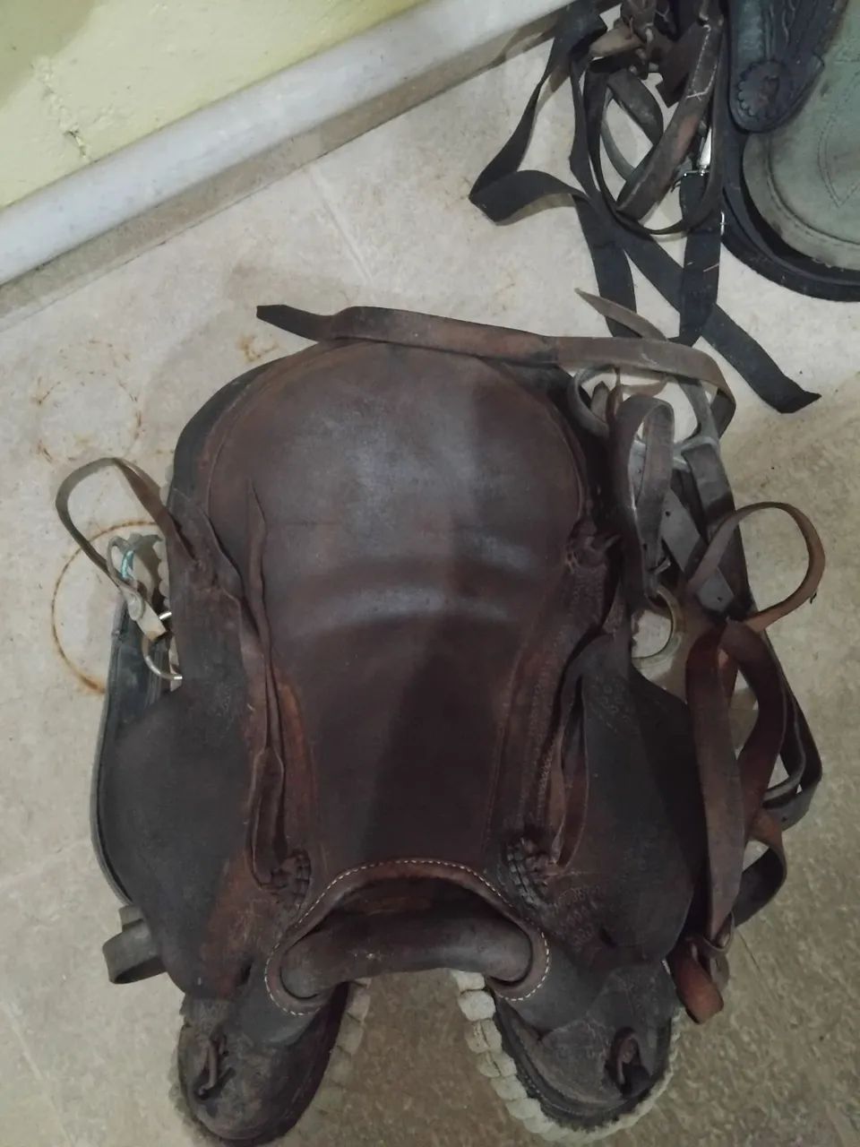 Vendo 2 cela pra animal ,em perfeitas condições aceito proposta ! - Foto 2