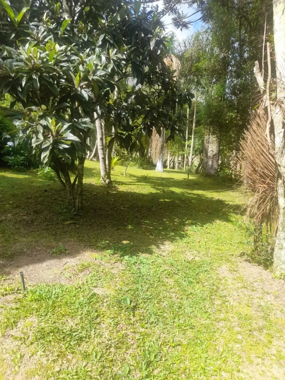 Chacará Lapa Pr  - Foto 2