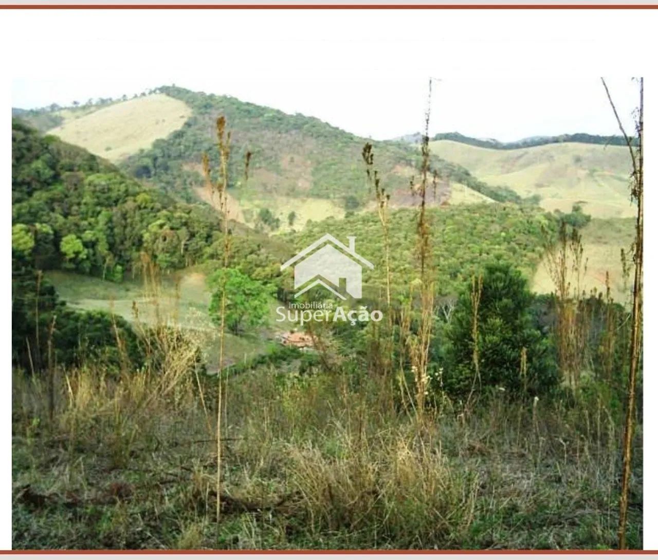 ÁREA RURAL COM 49.000 m² EM CAMANDUCAIA/MG. - Foto 3
