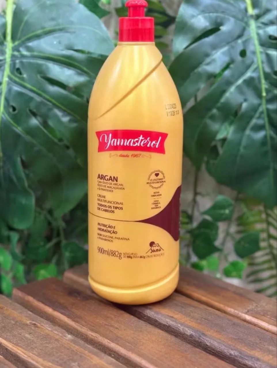 Yamasterol  - Foto 3