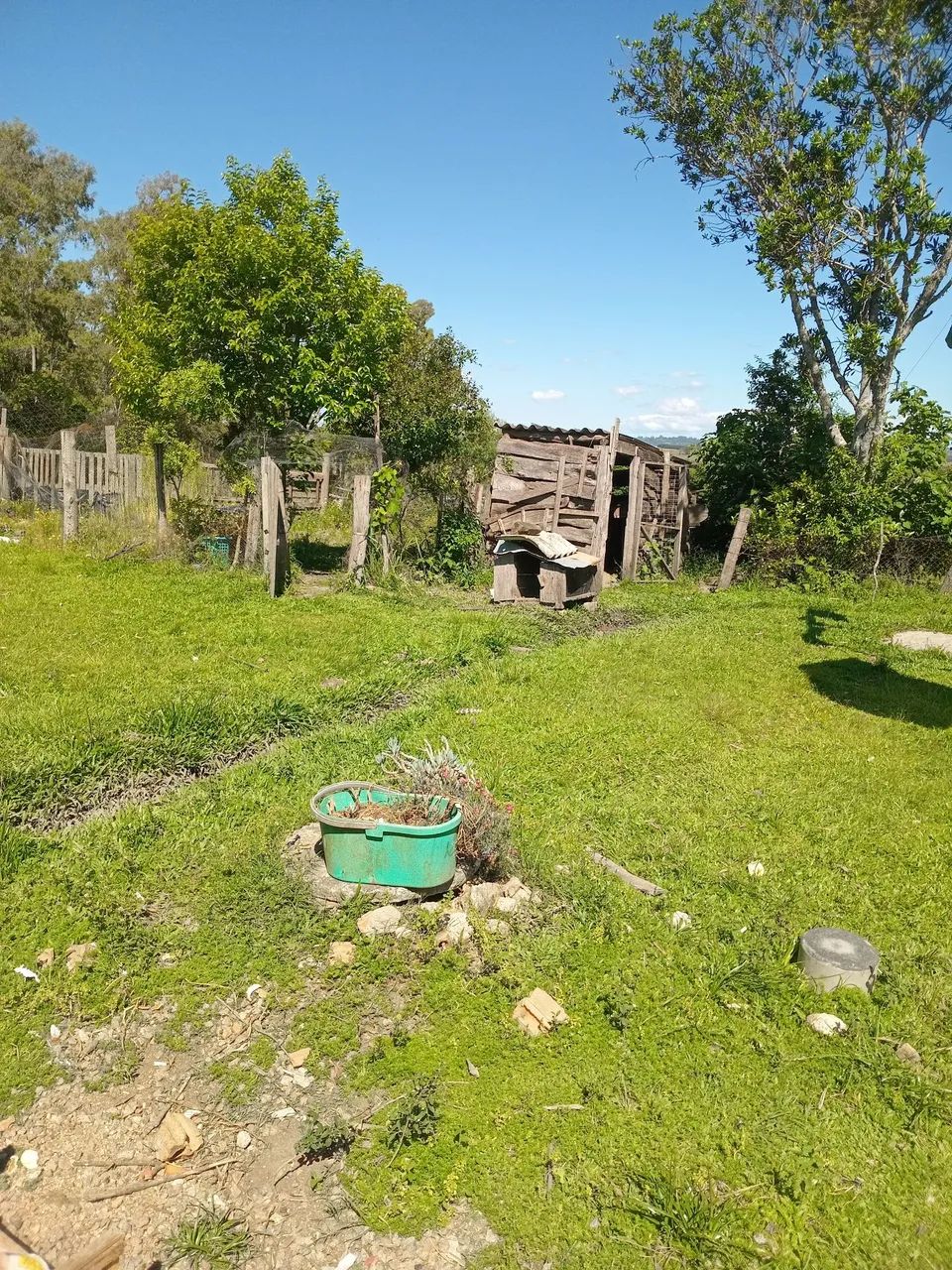 Vendo sitio  - Foto 5