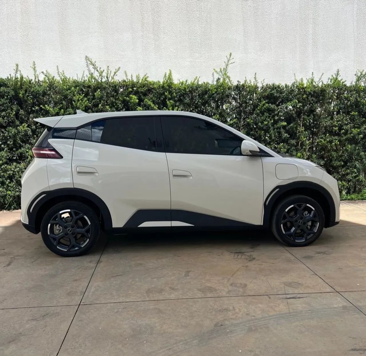 BYD Dolphin Mini GL 2025 - Foto 2