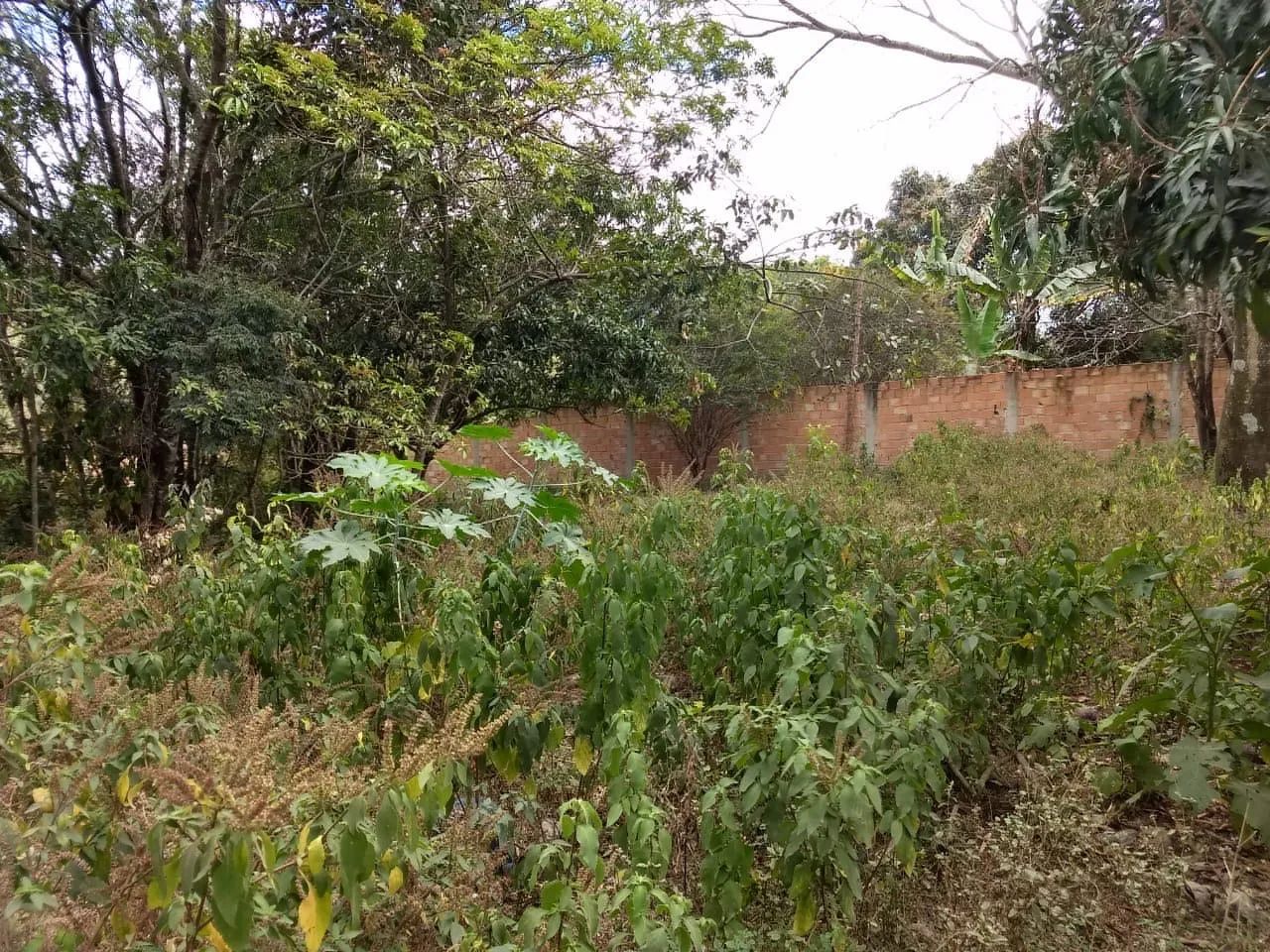 Chácara a venda  - Foto 4