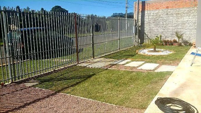 Grama , roçada, jardinagem  - Foto 3