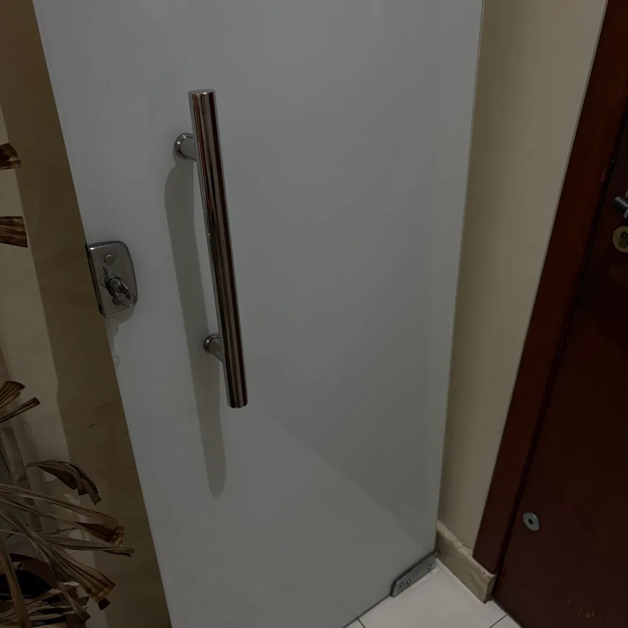 Porta blindex  - Foto 4
