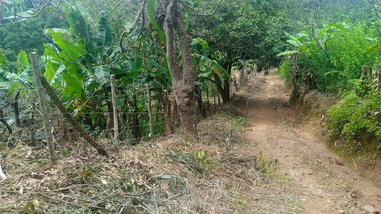 Sítio  - Foto 5