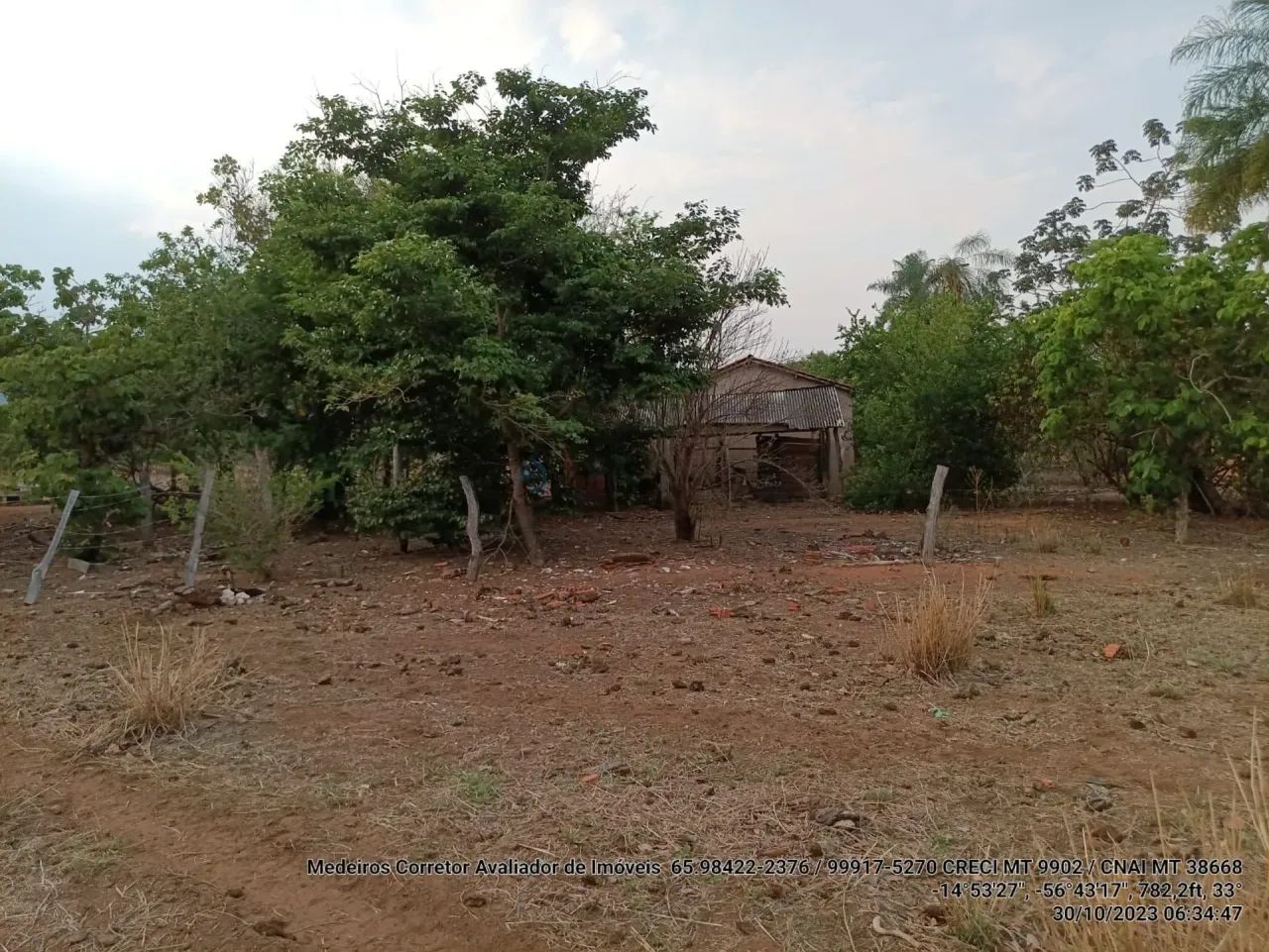 Sitio com 46 hectares com 20 cabeças de gado. - Foto 5