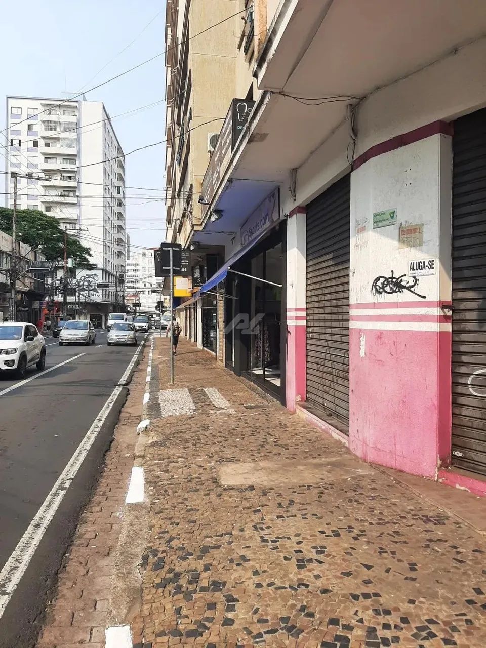 salão - Centro - Campinas - Foto 2