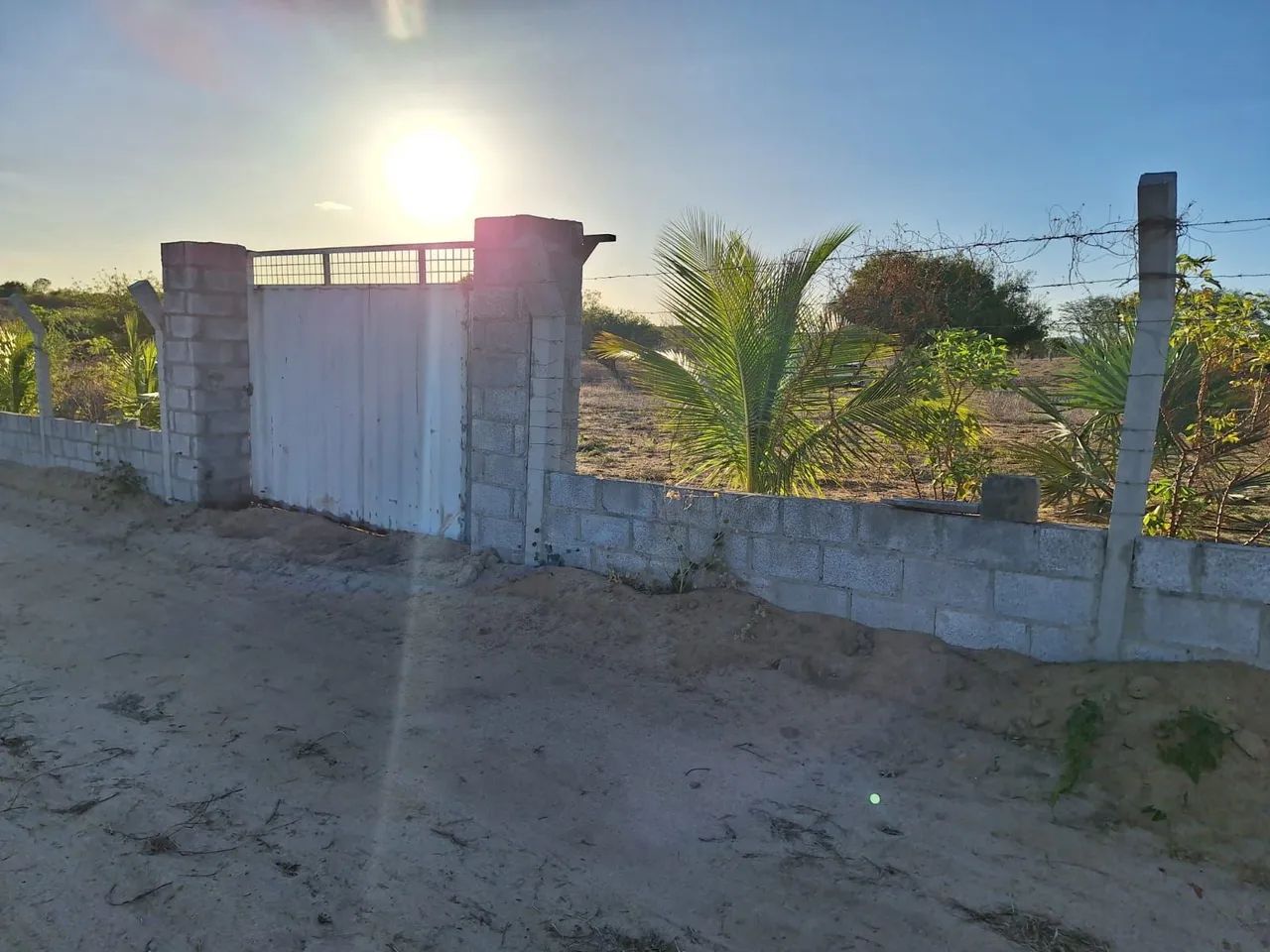Vende-se 2 Tarefas Teiú-Cariacá - Foto 2