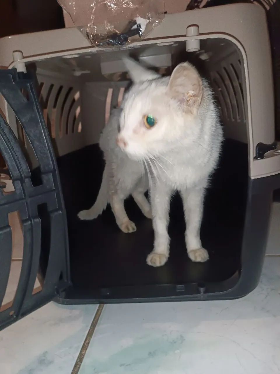 Caixa de transporte cão/gato - Foto 3