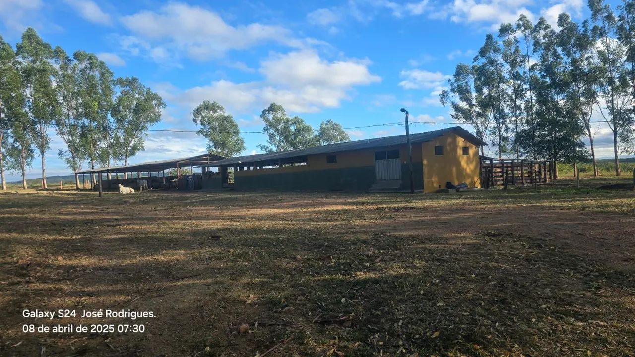 Vendo fazenda  - Foto 3