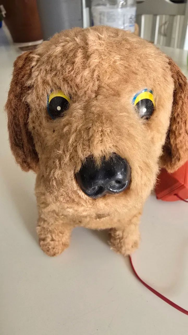 Pipi o cachorro da estrela de 70 - Foto 2