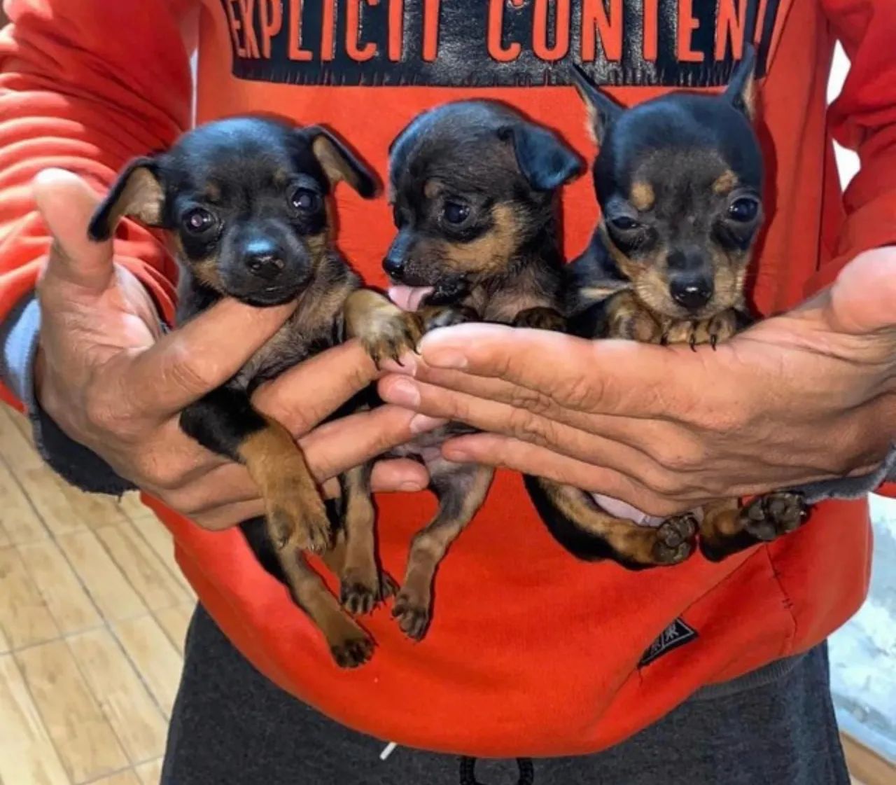 PINSCHER zero - Foto 2