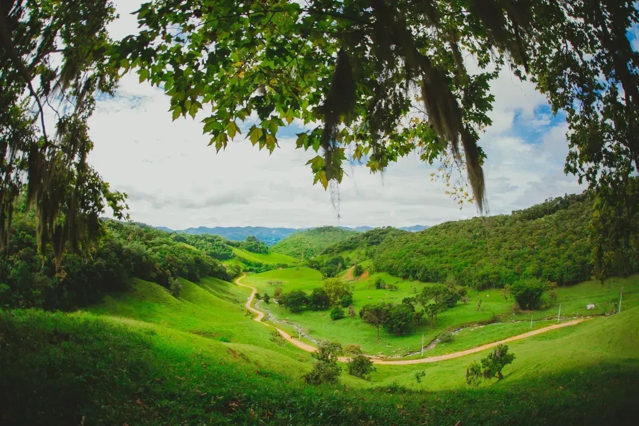 Sitio com linda vista em Águas Mornas - SC - Foto 2