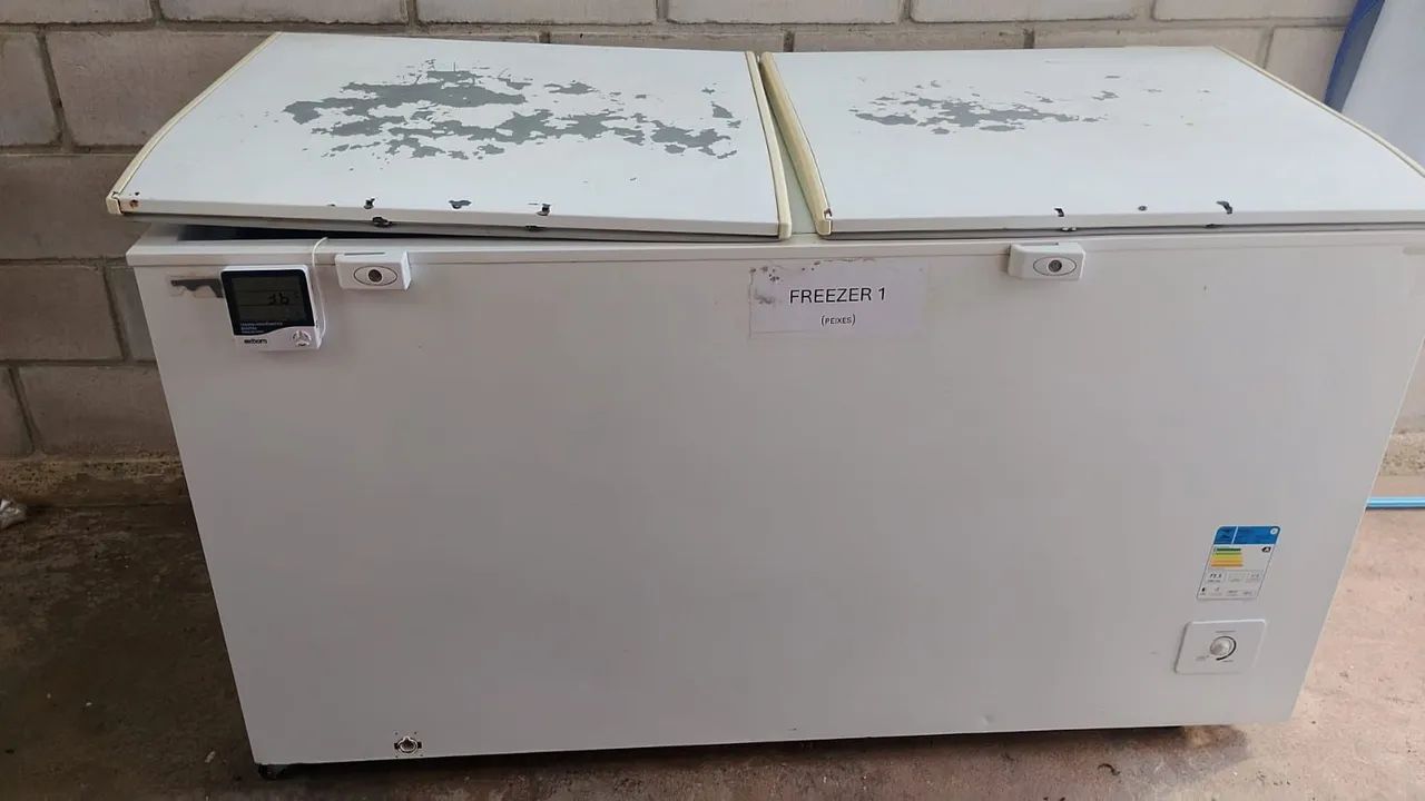 Freezer horizontal 540 litros eletrolux