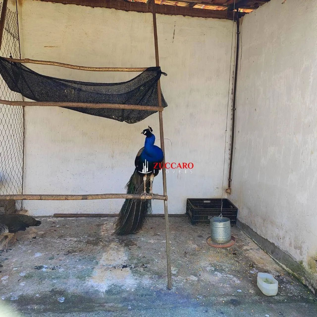 Sobrado à venda, 250 m² por R$ 650.000,00 - Mato Dentro - Mairiporã/SP - Foto 9
