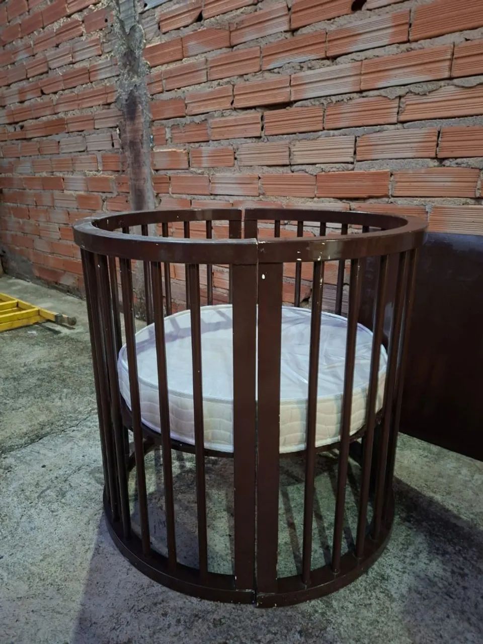 Evolutionary Crib65048954026627121