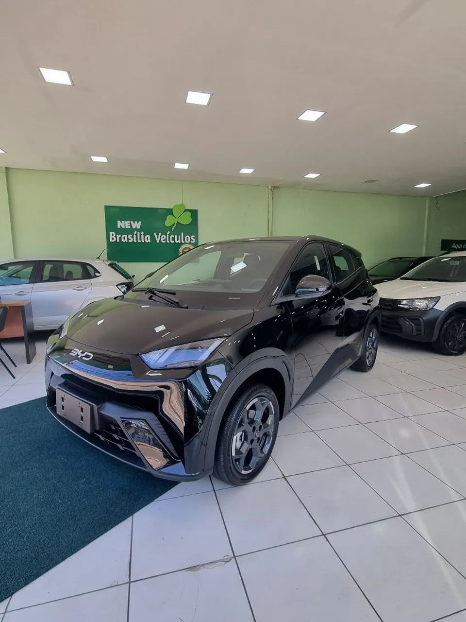 BYD Dolphin Mini (Elétrico) 2026