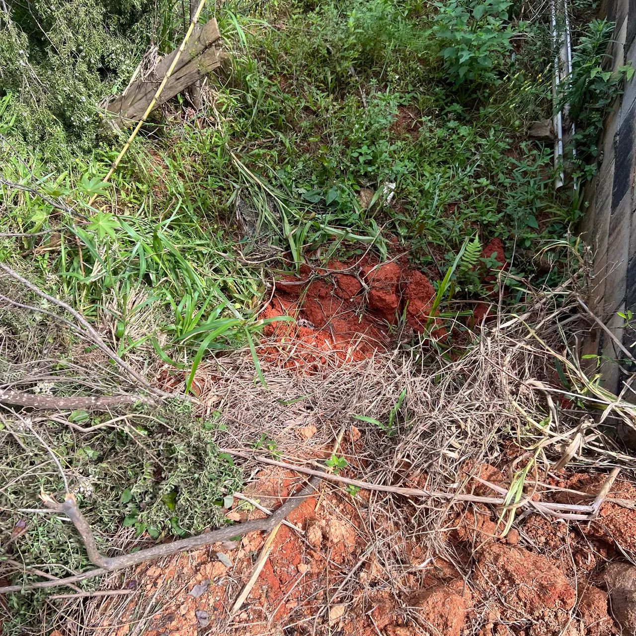 DOAÇÃO DE ATERRO - Foto 2