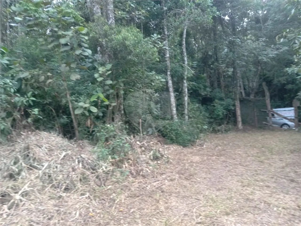 Terreno à venda em Samambaia - SP - Foto 4