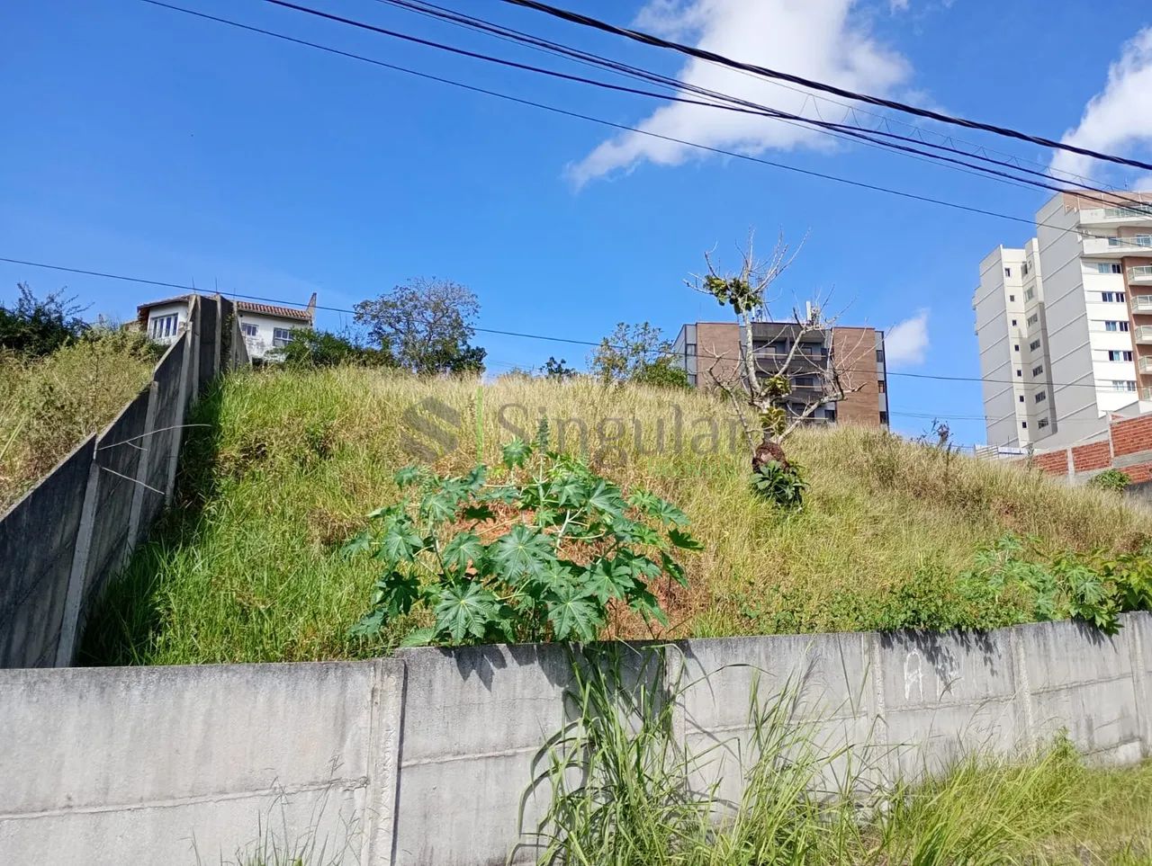 Terreno para construtor - Foto 4