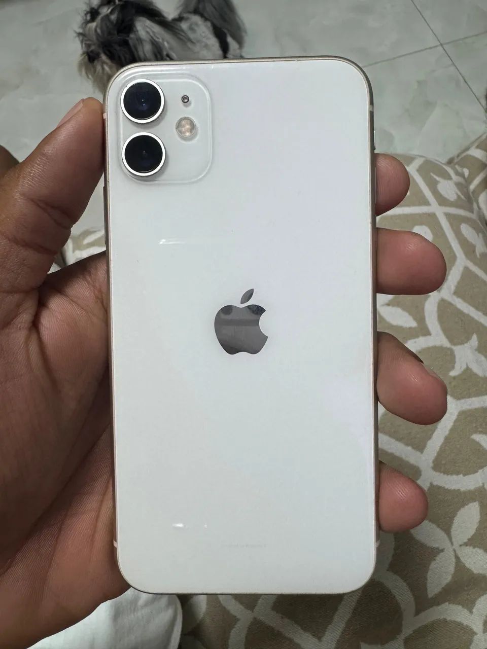 iPhone 11, zerooo nunca aberto e comprado em loja.