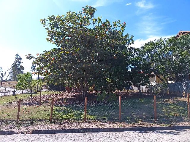 Terreno no Haras Residence - 700 m² - Foto 3