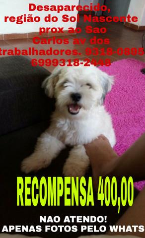 Procura se
