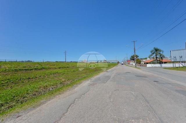 Terreno à venda em Roseira, São josé dos pinhais cod:924631 - Foto 6