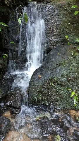 42 alqueires,,, são lourenço,,, da serra - Foto 10